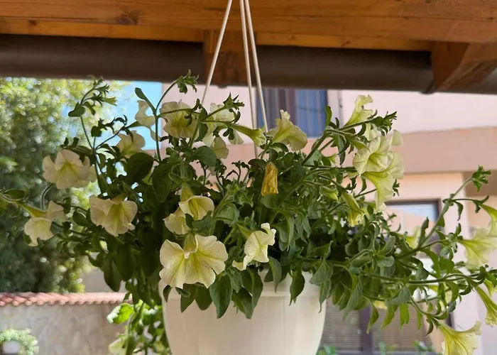 Zara & Duje Apartman Bibinje